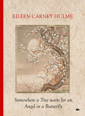 picture of the cover of Somewhere a Tree waits for an Angel or a Butterfly